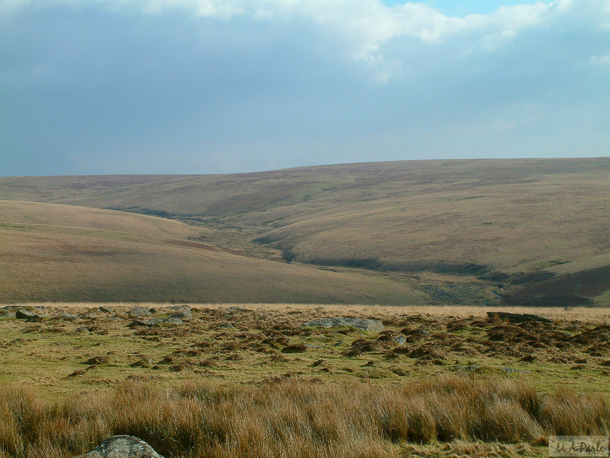A view across the Plym valley from Higher Hartor Tor to Langcombe Brook and Langcombe Hill
