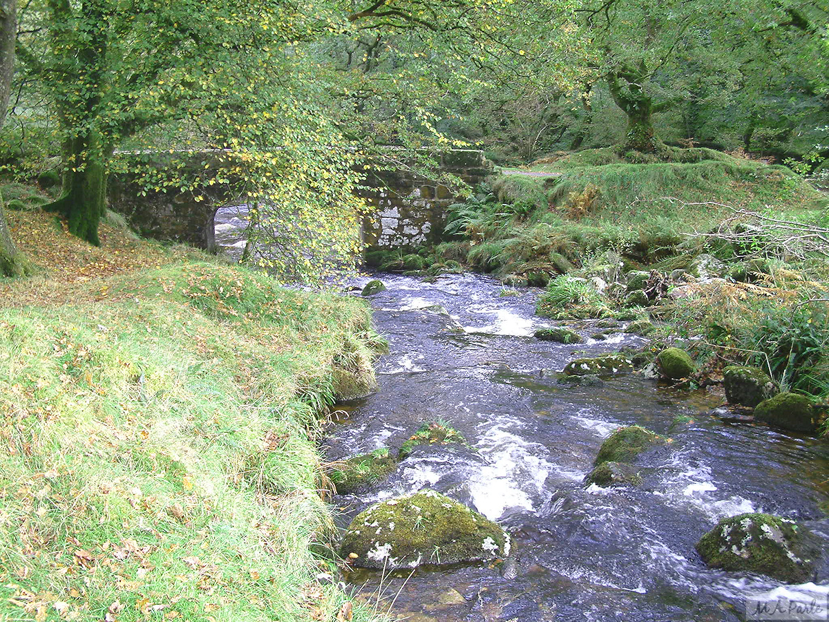 The River Meavy at Norsworthy Bridge