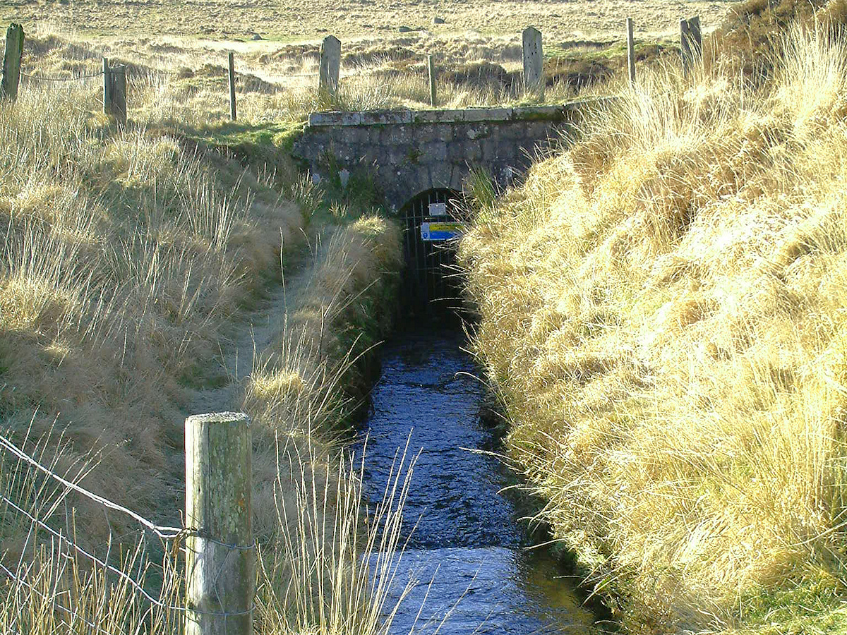 Devonport Leat flows into a tunnel below Nun's Cross Farm