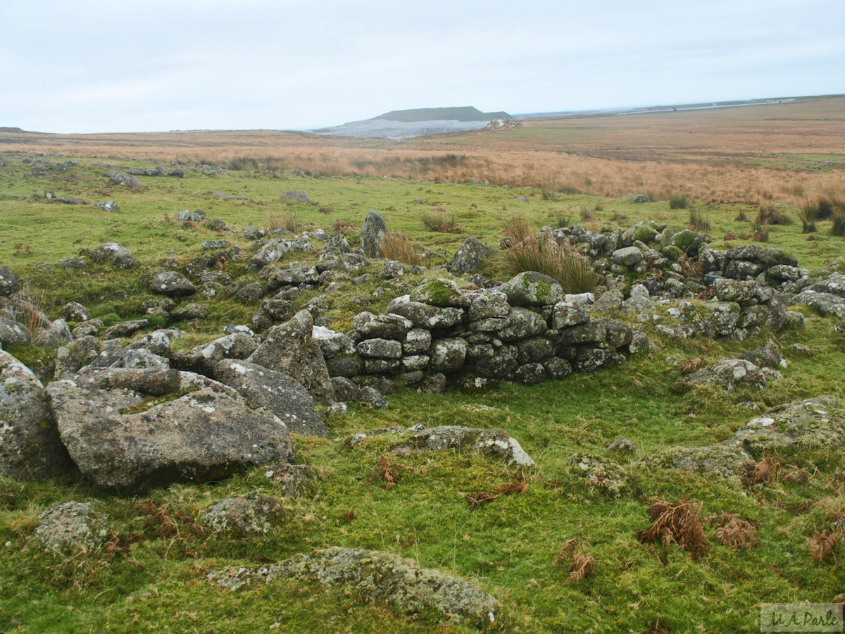 Remains of Trowlesworthy Warren Settlement on the western slope of Great Trowlesworthy Tor