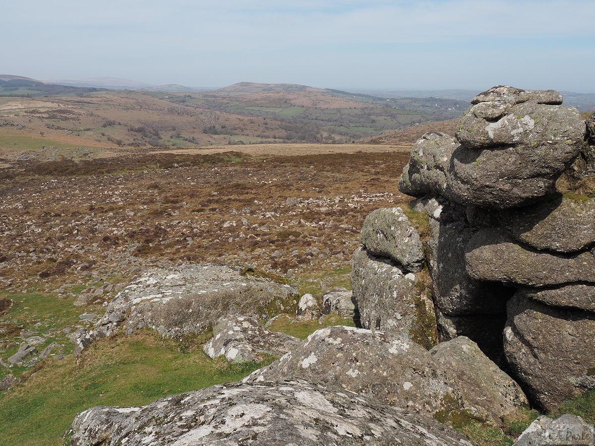 View north from Haytor