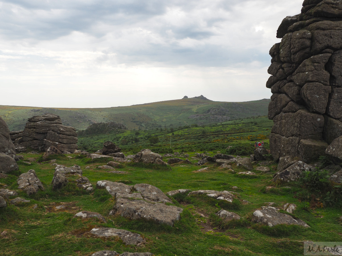 View across Houndtor Down, with Haytor Rocks in the distance