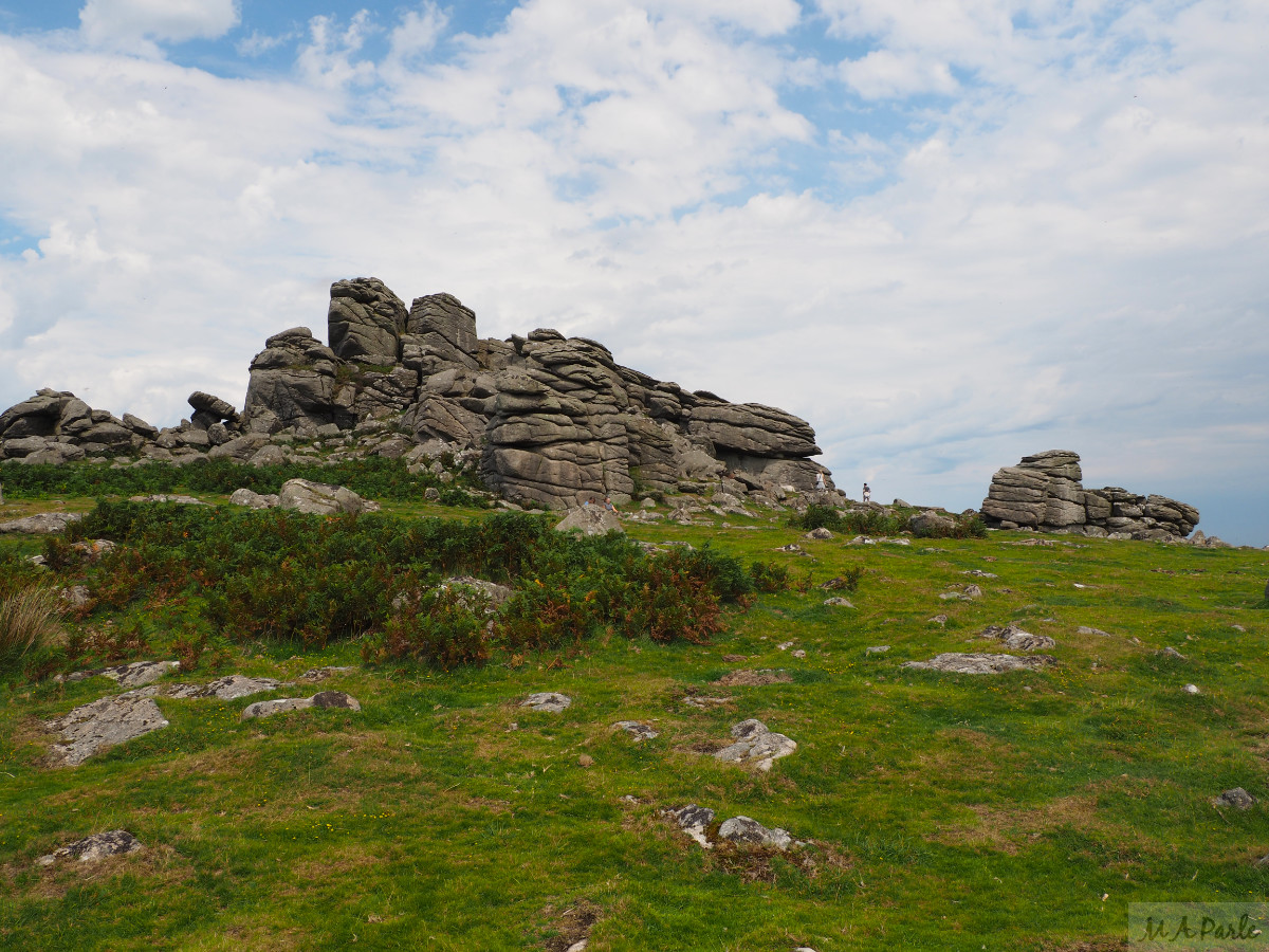 The south side of Hound Tor