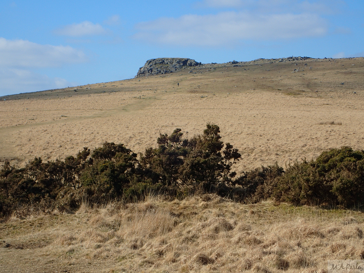 East slope of Sheeps Tor
