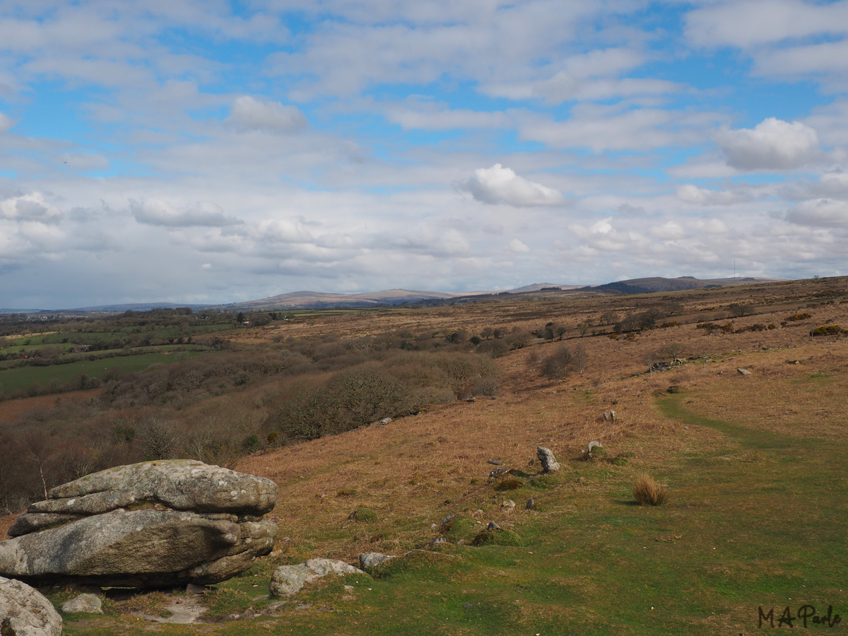 View north from Dewerstone