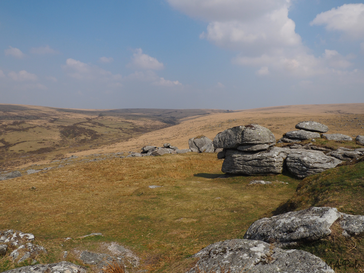 View east across the moor, from Down Tor