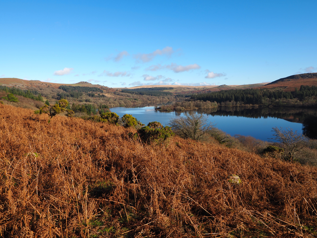 View across the reservoir to Leather Tor
